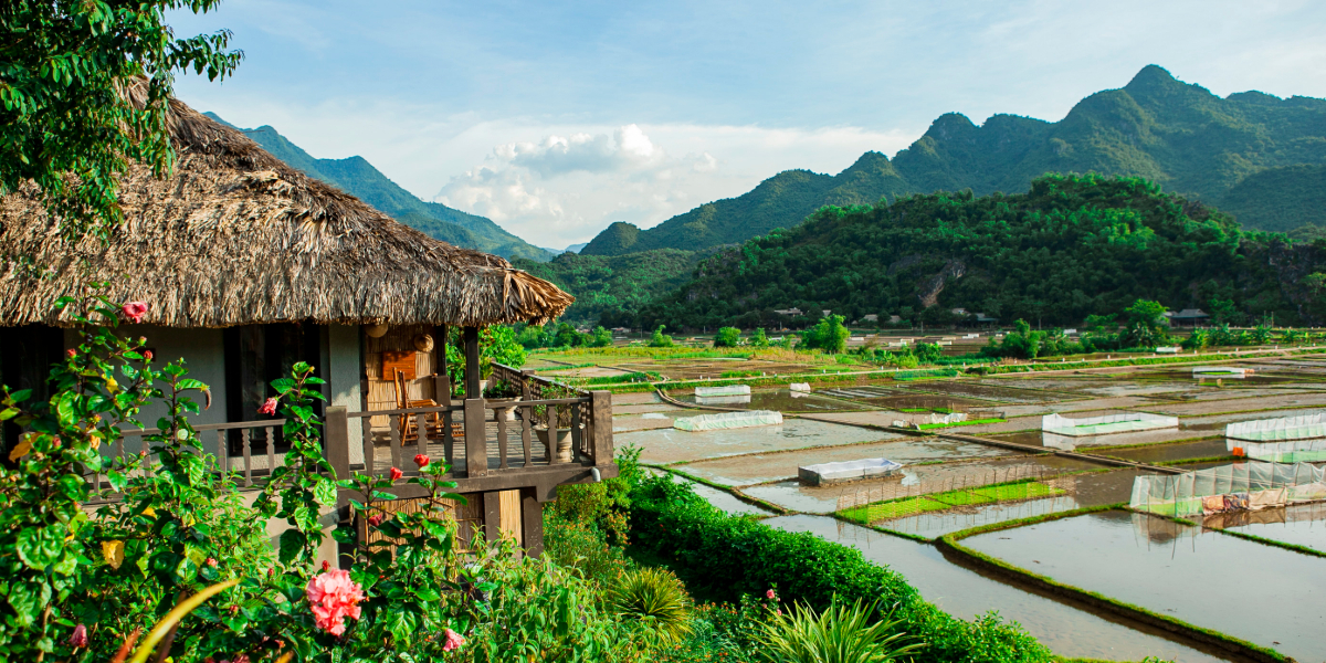 The Green culture circle of Ninh Binh - Hoa Binh